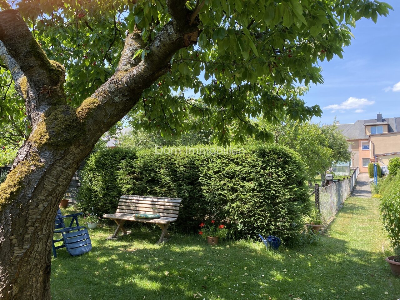 Garten mit Blick zum Haus