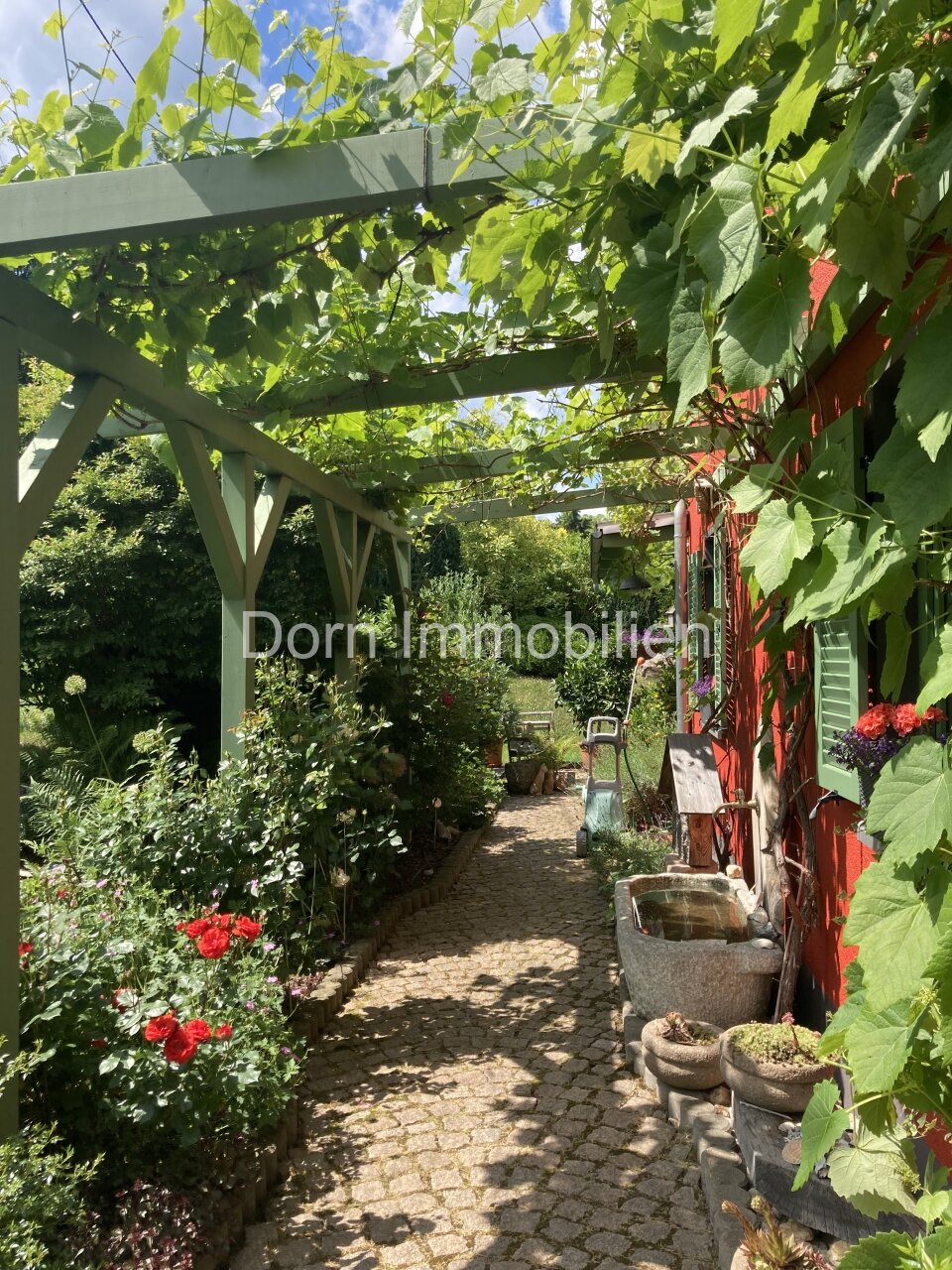 Weinspalier Sommeransicht Weinspalier Sommeransicht