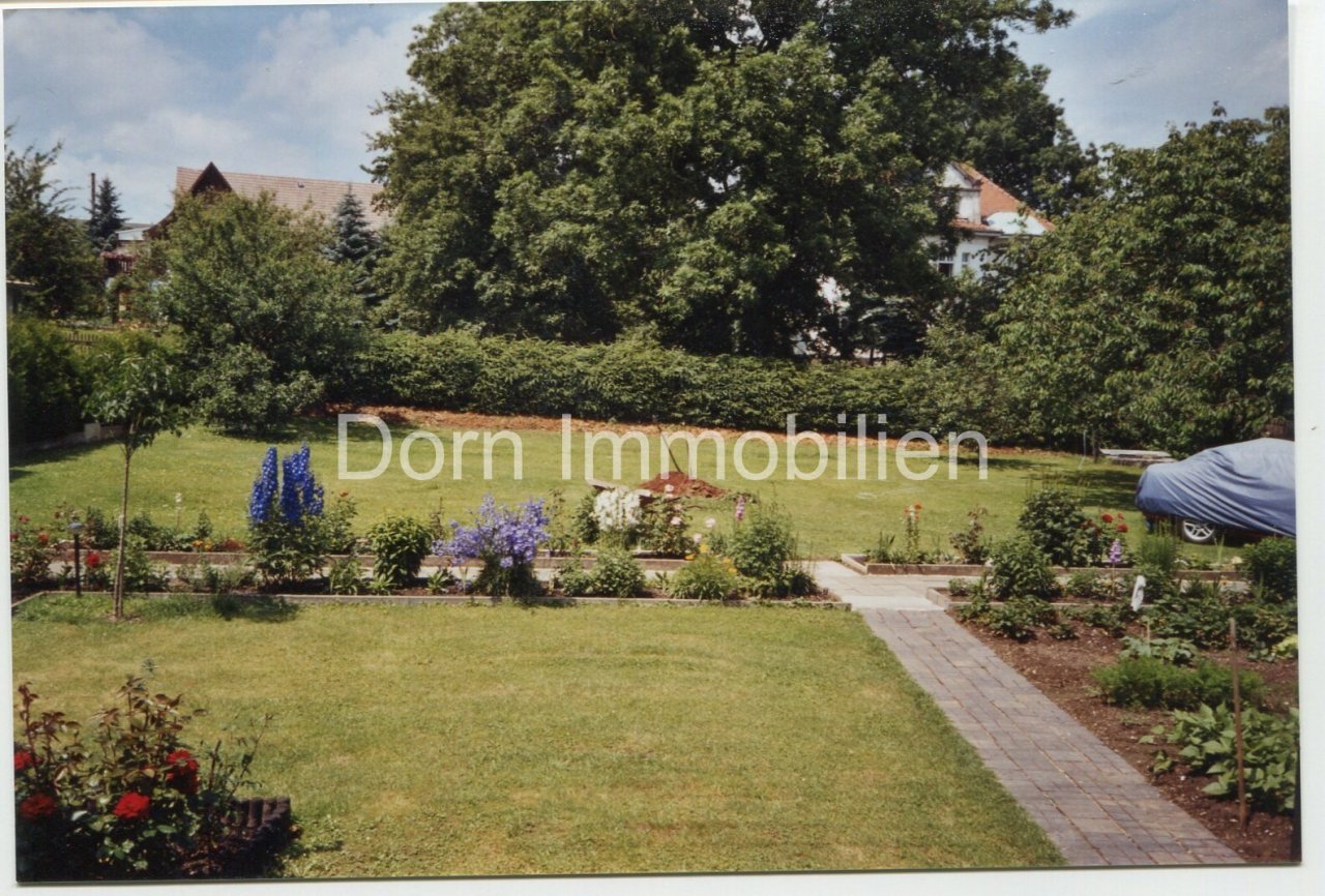 Sommerfoto Sommerfoto
