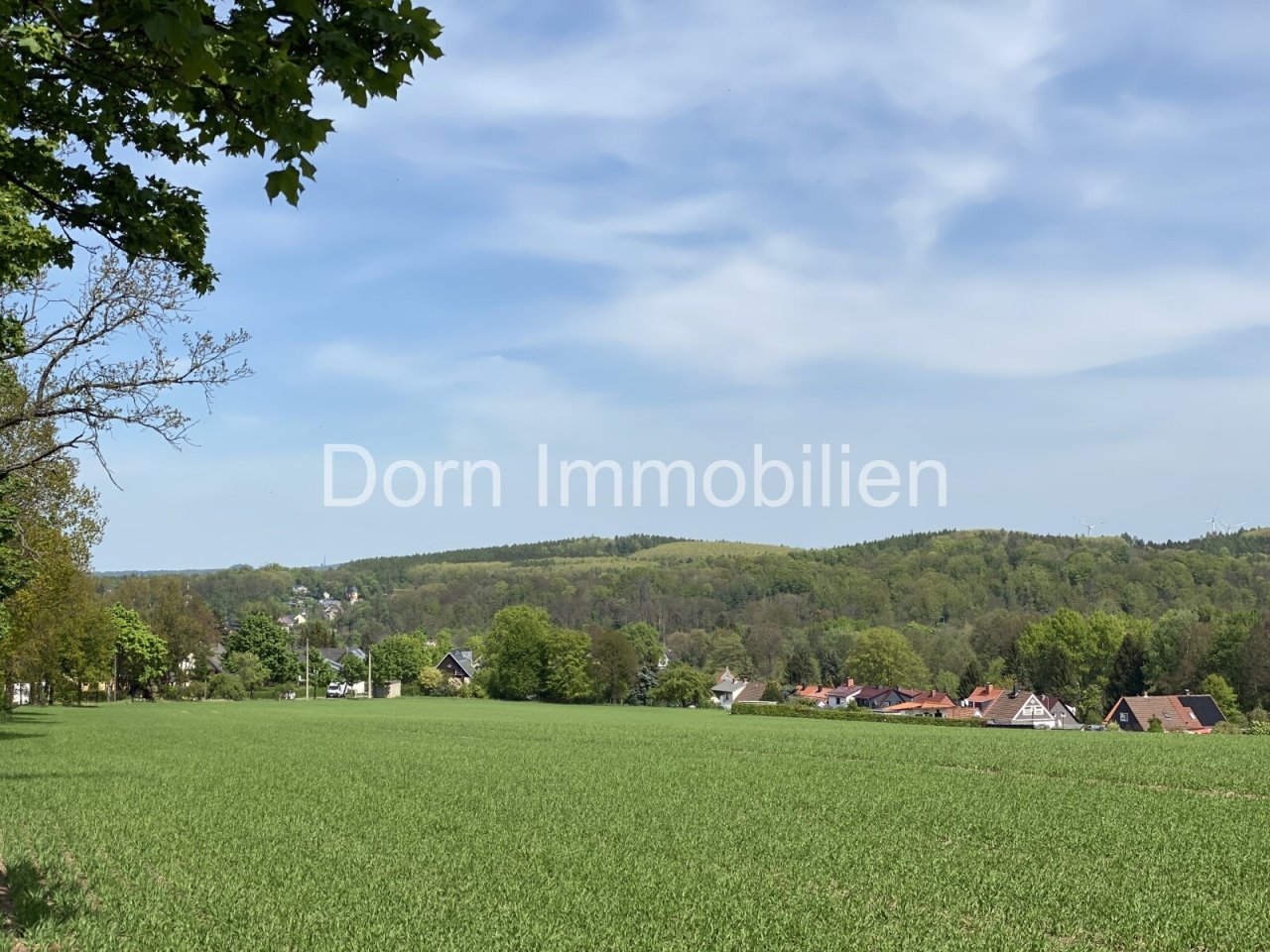 Blick auf Lichtenstein Blick auf Lichtenstein
